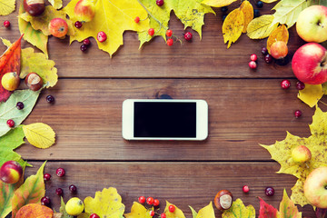 smartphone with autumn leaves, fruits and berries