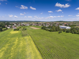 Naklejka premium Rural landscape with green hill and blue sky in Poland. View fro