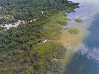Summer time lake and green forest, in Poland lanscape. View from