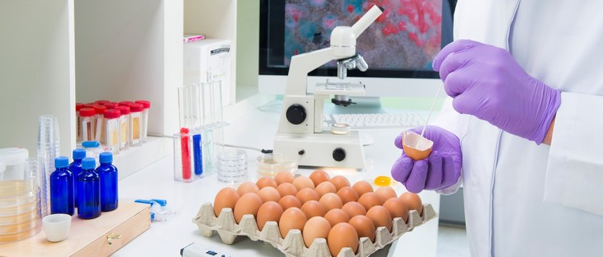 Banner Lebensmittelhygiene im Labor