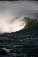 Naklejka premium Surfwelle