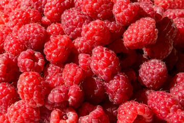 Fresh Raspberry as a background 