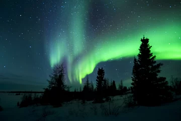 Photo sur Plexiglas Cercle polaire Aurore boréale, aurores boréales, parc national wapusk, Manitoba, Canada.