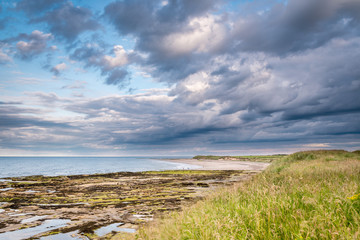 Fototapeta na wymiar Low Hauxley Beach, just south of Amble on the Northumberland coastline