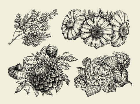 Flowers. Hand drawn sketch of chamomile, mimosa, hortensia, dahlia. Vector illustration