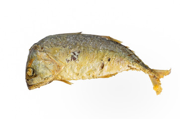 Fried Mackerel fish isolated on white background