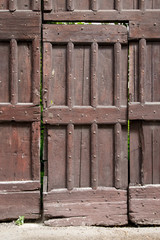 Rustic wooden door, full view