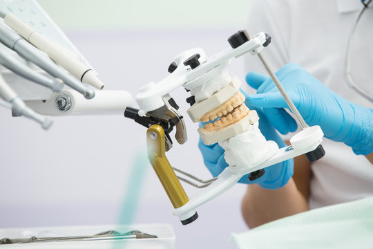 Articulator with teeth mould