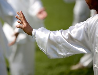 hand of martial arts master Tai Chi with many followers