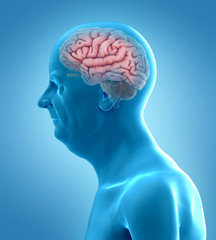 Fototapeta premium 3d rendered medically accurate illustration of an old man´s brain