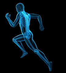 3d rendered medically accurate illustration of a runner´s bones