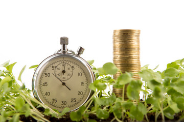 Time to grow - business profit concept