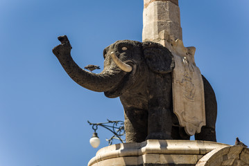 The elephant statue in Catania, Sicily