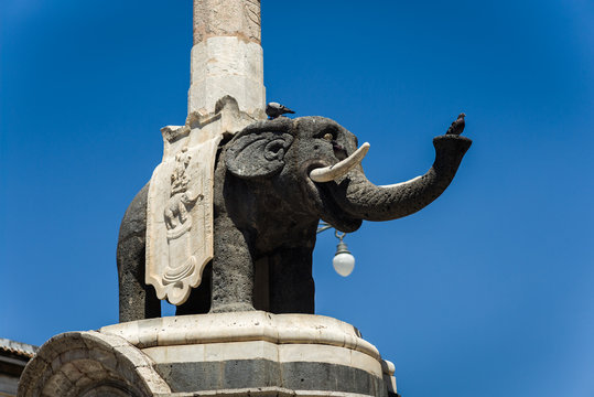 The elephant statue in Catania, Sicily