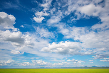 Blue sky and green grass field background