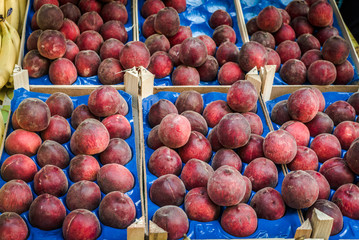 A Piscaria, market in Catania © sabino.parente
