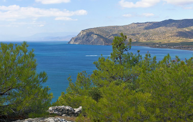 The sea shore of the Bay with evergreen trees.Crimea.