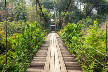 hanging suspension bridge cross over jungle