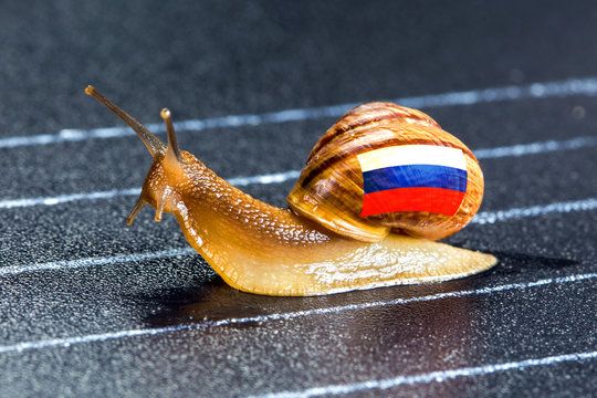 Snail under Russian flag on sports track