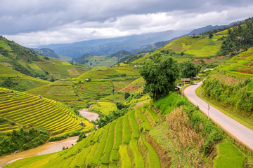beautiful landscape view of rice terraces and house in Mu cang c
