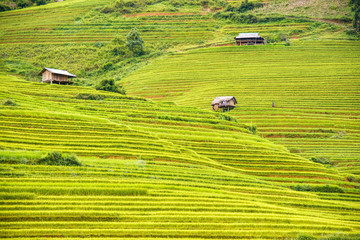 beautiful landscape view of rice terraces and house in  Mu cang