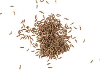 Cumin seeds or caraway isolated on white background © xamtiw