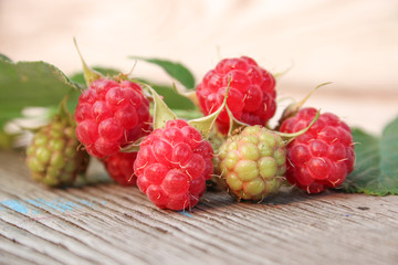 raspberry on a branch with leaves on wooden background