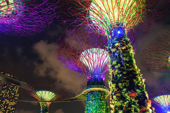 Supertree grove at Gardens by the Bay in Singapore