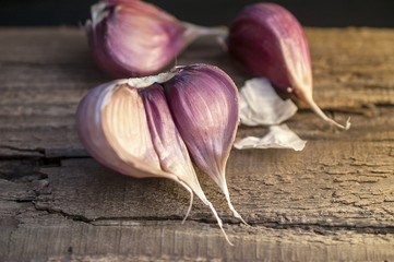 Purple Garlic on the grunge vintage board at a village kitchen - food photography