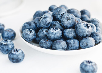 Blueberries in a white plate on a white background