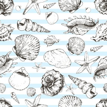 Vector seamless pattern of seashels. Hand drawn vintage engraved illustration. Isolated on light blue strips.