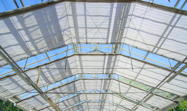 roof structure of the greenhouse
