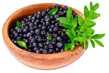 Fresh Juicy Blueberries