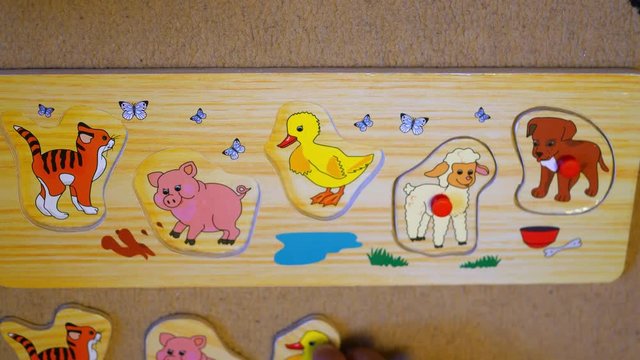 the child assembles a puzzle with animals