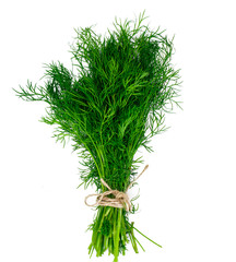 Fresh Juicy Dill Isolated on White Background