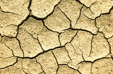 Cracks on dry ground