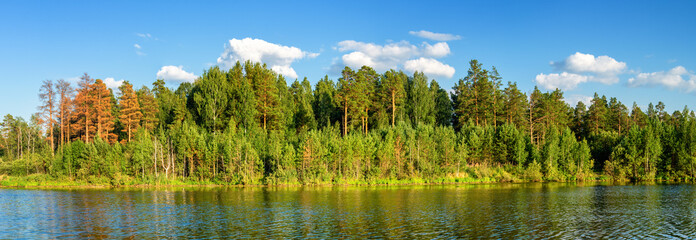 летний пейзаж соснового леса на берегу озера, Россия, Урал  © 7ynp100