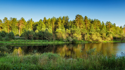 летний пейзаж соснового леса на берегу озера, Россия,...