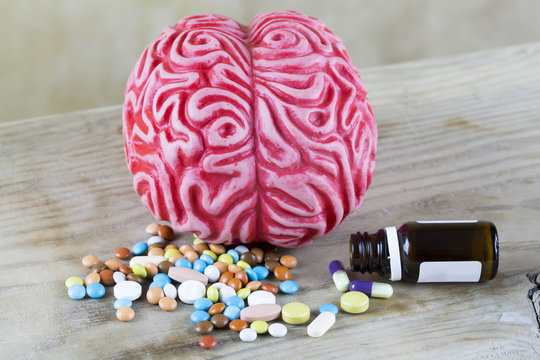 Brain