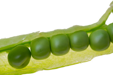 Fresh green peas on a white background