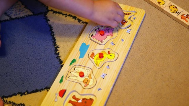 the child assembles a puzzle with animals