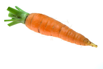 Single fresh carrot on the white background