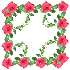 Beautiful floral background with branches of pink petunias 