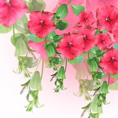 Fototapete Rund Beautiful floral background with branches of pink petunias  © Ann-Mary