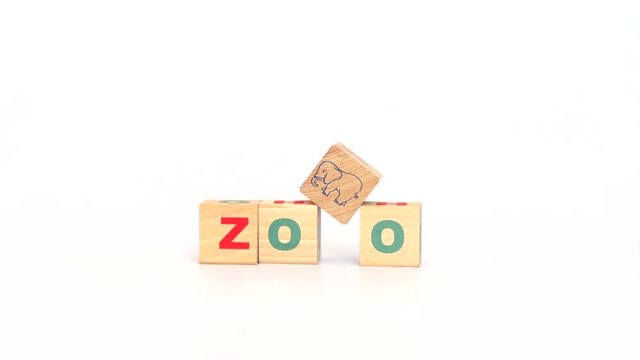 Letters on cubes make up zoo word and then a cube with picture of elephant falls on top. Related to animal life, fauna. Stop motion. 4K Ultra HD.