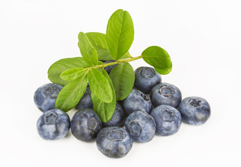 Blueberries with a sprig with leaves on white background