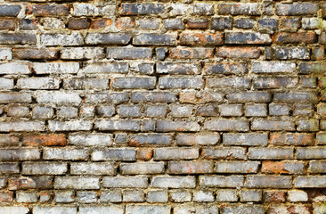 Dirty brick wall - grunge background
