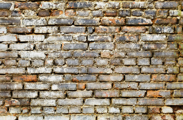 Dirty brick wall - grunge background