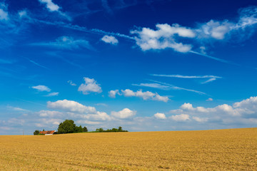 Fototapeta premium Harvested wheat fields and dramatic blue sky in July, Belgium