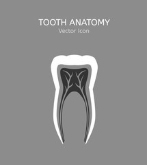 Tooth vector icon